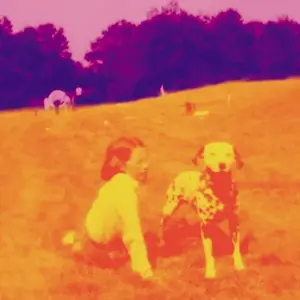 Виниловая пластинка LP Blinking Lights & Other Revelations [Pink & Purple Galaxy Vinyl] - Eels