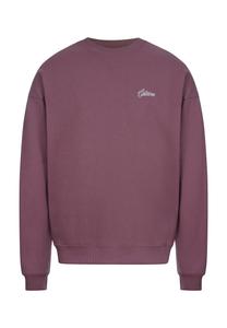 Толстовка ESTEEM  Signature Oversized, розовый