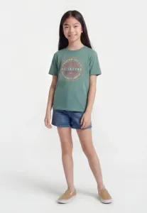 Футболка с принтом rotor fill ss (bmr0). Billabong, Sagebrush Green