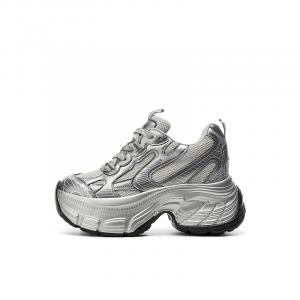 DAPHNE Серебряные утепленные массивные кроссовки Endorsed Style Low Top, цвет Silver-Fleece-Lined