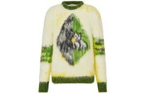 Ежеквартальные новинки свитер мужской зеленый Dior, зеленый