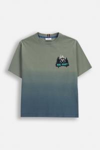 Детская хлопковая футболка Coccodrillo, зеленый