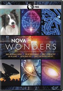 Диск DVD Nova Wonders: Season 1