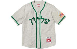 Футболка-джерси Supreme Mitchell & Ness, серый / зеленый