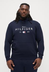 Худи Tommy Hilfiger HOODY, Desert Sky/Dark Blue