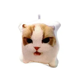 Плюшевый кулон с динамиком abstract fun german authority raccoon cat высотой 8см BUDUO