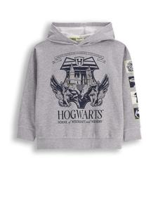 Толстовка Coccodrillo, серый