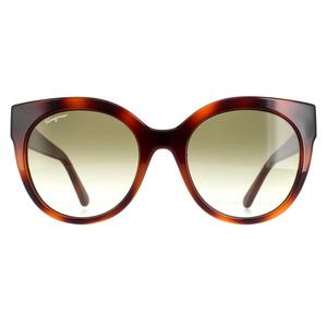 Кошачий глаз Черепахово-зеленый SF1031S Salvatore Ferragamo, коричневый