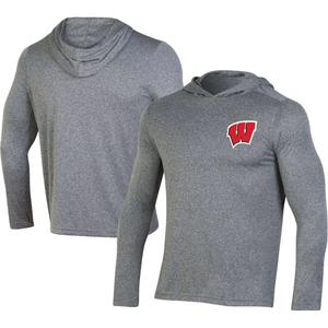 Мужская футболка с длинным рукавом и худи Champion Grey Wisconsin Badgers