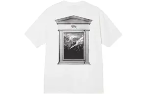 Мужская футболка Stussy, цвет Brown