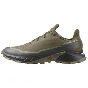 SALOMON Кроссовки Alphacross 5 GORE-TEX 'Olive Night Black'