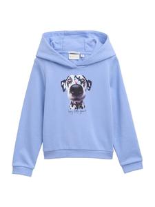 Худи TOM TAILOR Sweatshirt, небесно-синий