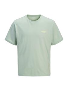 JJ Rebel Футболка 'JREBHAYDEN' в цвете пастельный зеленый, светло-зеленый