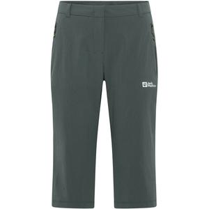 Шланговый поход 3|4 штаны с Jack Wolfskin, зеленый