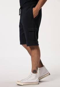 Спортивные брюки JOGGING  JP1880, синий