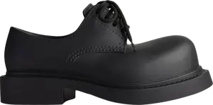 Кроссовки Balenciaga Steroid Derby 'Black', черный