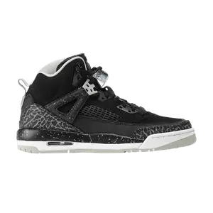Кроссовки Air Jordan Spizike BG, Oreo