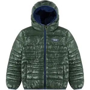 Детская стеганая куртка Levi's «SHERPA LINED MDWT PUFFER JACKET», с капюшоном, для мальчика с капюшоном Levi'S Kids, цвет eden