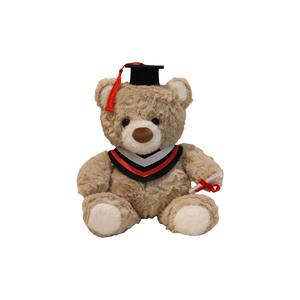 Плюшевая кукла AIQINGCAOZHILIANWANJU Doctor Hat Teddy Bear 25 см AIQINGCAOZHILIAN(WANJU)
