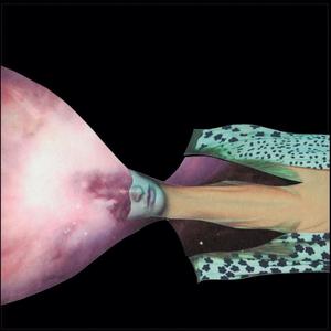 Виниловая пластинка LP Painted Shield 2 - Painted Shield