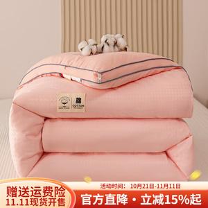 Boyang Одеяло зимнее 150х200 см, 2,25 кг, хлопок Синьцзян, съемный чехол, цвет Hetian Jade