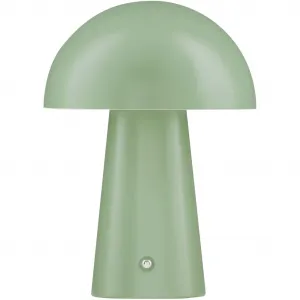 Настольная лампа ANDE LED-модуль 1 шт. Теплый белый Nova Luce, зеленый