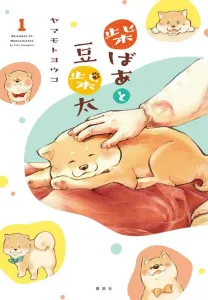 Shiba Grandma and Mame Shiba Tai 1