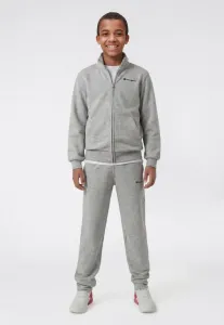 Спортивные штаны icons Champion, Grey