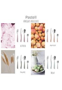 Набор столовых приборов Kuppels, apricot