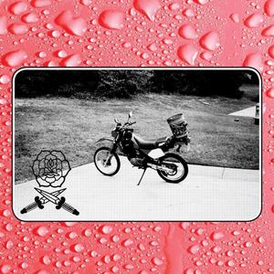 Виниловая пластинка LP Say I Won't [Ivory Vinyl] - Bass Drum of Death