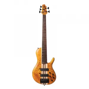 Электрический бас-гитара Cort Artisan A5 Plus SC 5-струнная *Малый бизнес США*