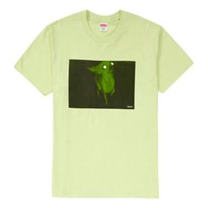Футболка fw18 chris cunningham chihuahua pale mint tee Supreme, зеленый