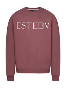 Толстовка ESTEEM, ржаво-красный