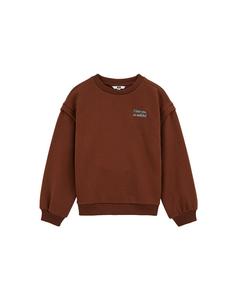 Толстовка WE Fashion, Chestnut brown