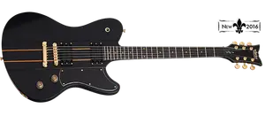 Schecter ДЭН ДОНЕГАН УЛЬТРА