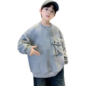 Детский свитшот с круглым вырезом Moderate EASTERN CAMEL, серый