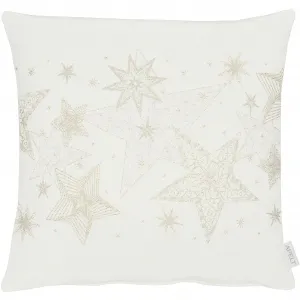 Чехол на подушку АПЭЛТ «6303», (1 шт.) Apelt, цвет goldfarben, natur