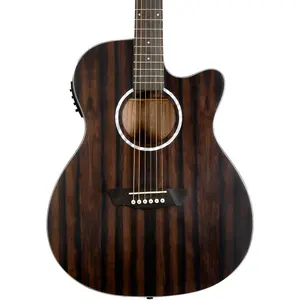 Акустико-электрогитара Washburn Deep Forest Ebony ACE, натуральная матовая