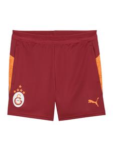 Обычные спортивные штаны PUMA, красный