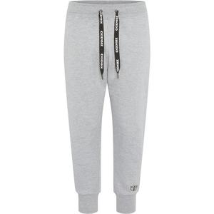 Спортивные штаны Chiemsee, серый