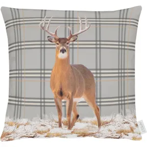 Декоративная подушка Фердинанд с наволочкой и наполнителем, 1 шт. Apelt, Natur/braun/grau + bedruckt