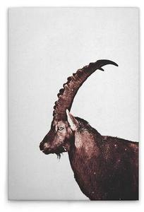 Картина на холсте A.S. Création Capricorn Snow цвет graubraunschwarz