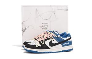 Кроссовки Nike Skateboard Shoes Men Low-Top Blue