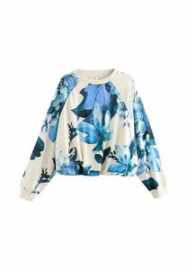 Толстовка Next PUFF BALL BALLOON BUBBLE HEM CREWNECK, Floral Blue Kew Garden/Blue