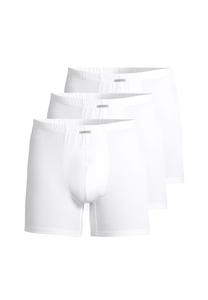 Длинные короткие / брюки 3 шт. в упаковке рядом с вами Ammann, белый