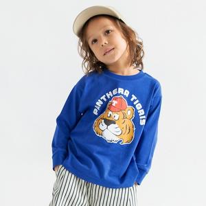 Футболка с длинными рукавами с разнообразными графическими принтами Branshes, цвет 21_Blue_Bear