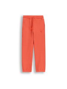 Спортивные штаны Coccodrillo, красный
