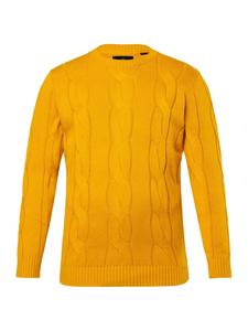 Свитер в карри Boston Park