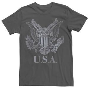Мужская футболка USA Eagle с винтажным рисунком Licensed Character, цвет Charcoal