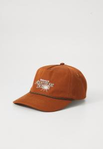Бейсболка Billabong ADIV STRAPBACK UNISEX, Rust/Light Pink